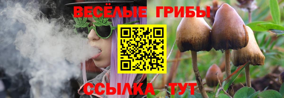 Гурьевск  Галлюциногенные грибы Psilocybine cubensis  Псилоцибиновые грибы MAGIC MUSHROOMS  Вход с VPN 