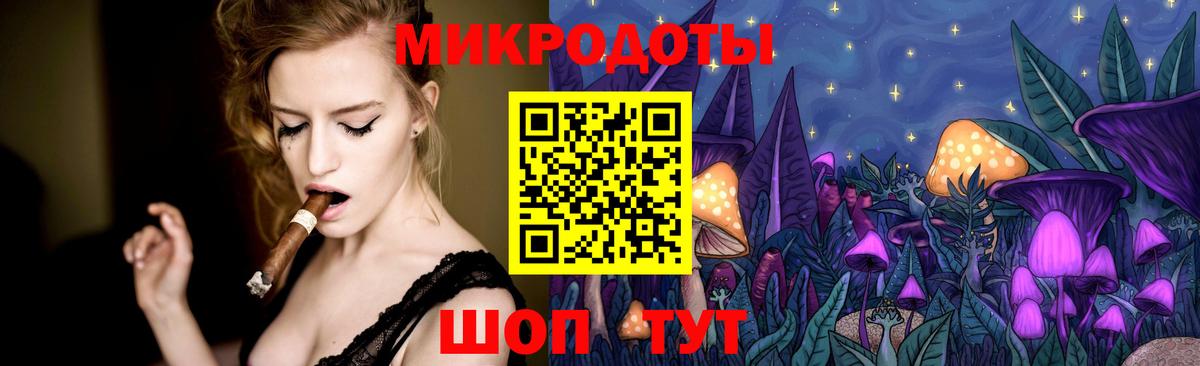 Псилоцибиновые грибы Psilocybine cubensis Гурьевск