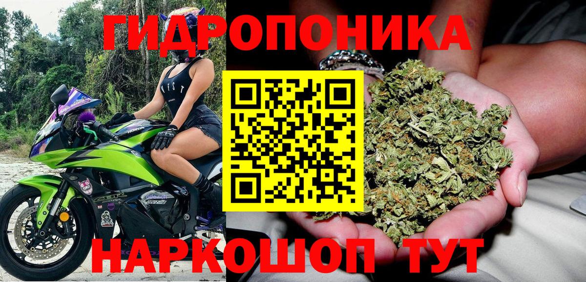 Гурьевск  Каннабис White Widow  Вход с VPN  Шишки марихуана Amnesia 